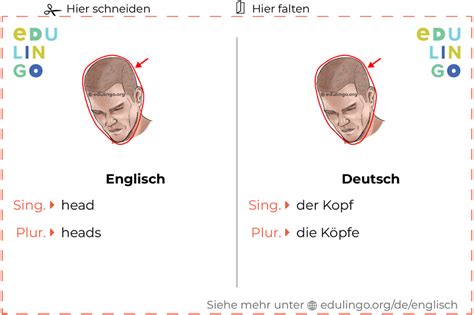 kopf auf englisch|More.